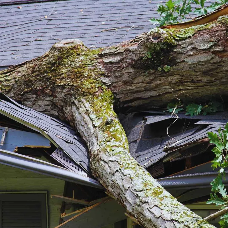 Tree trunk fallen onto a roof after a Gulf Coast storm