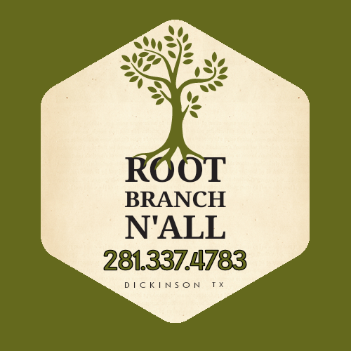Root Branch N'All Professional Tree Service in Dickinson Texas