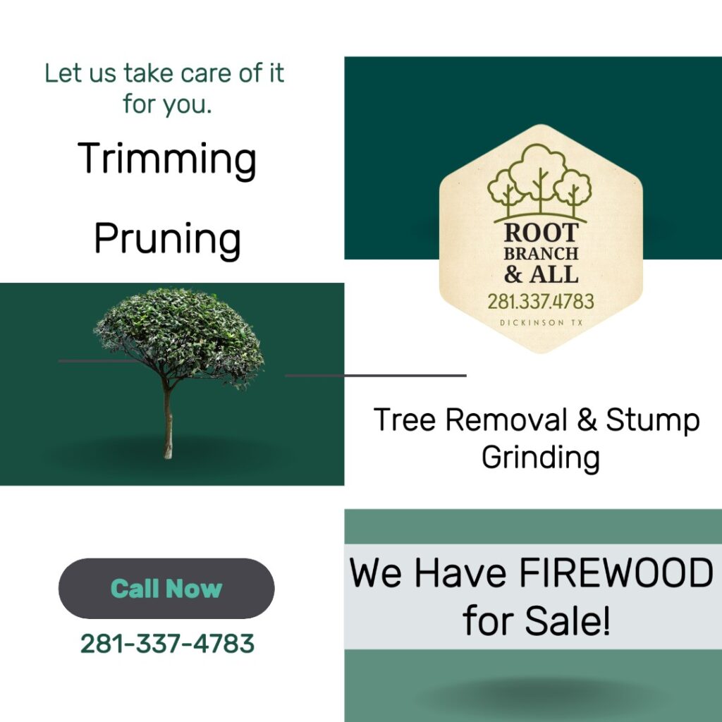 Tree Services. Trimming. Pruning, Tree Removal and Stump Grinding