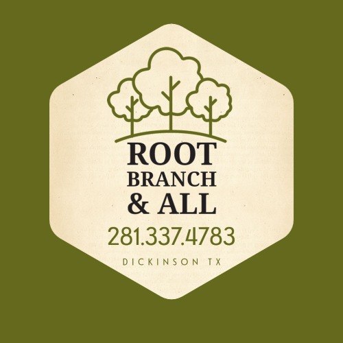Root Branch N'All Tree Service. Located in Dickinson, TX.